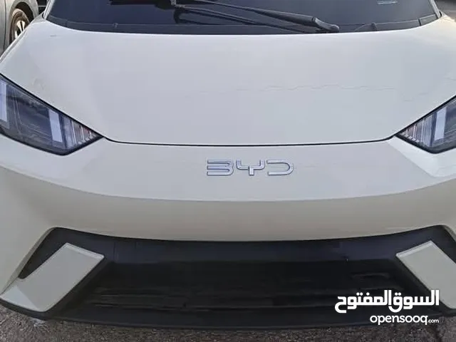 بي واي دي سيجال 2024 بسعر حررق كاش او اقساط عالهوية من راسي لراسك