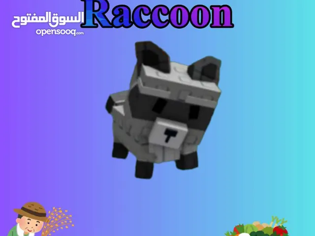 raccoon grow gardenراكون لعبه المزرعه