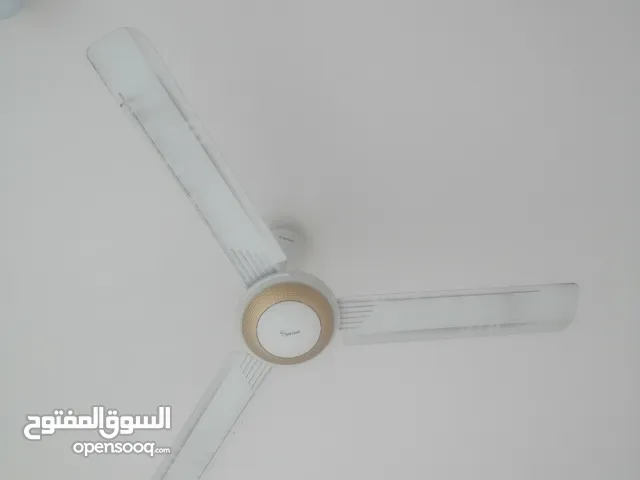 محل للايجار جنينة شارع المصلحه