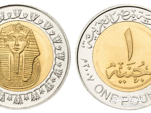 1 جنيه مصري