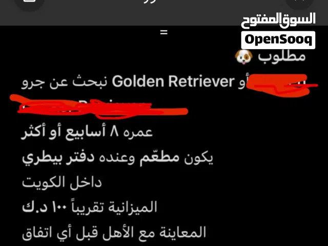 Requesting Golden Retriever