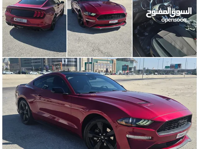 Ford Mustang EcoBoost 2021