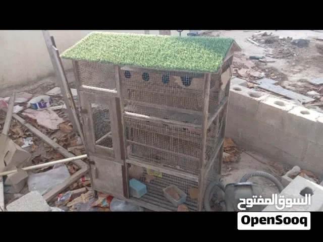 للبيع قفص مال عصافير أموره طيبه بس يبغاله تبديل شبك مطلوب فيه 15ريال سعر نهائي يلي جاد يتواصل واتس ا