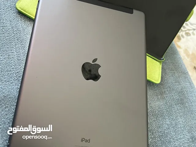 Apple iPad 9th generation 256 GB with cellular option