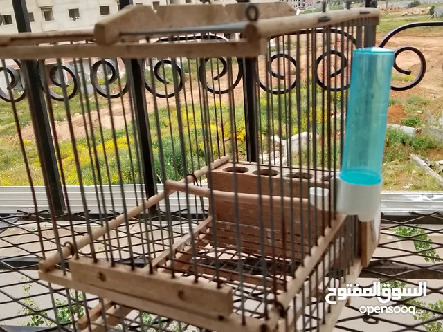 قفص طيور صغير خشبي