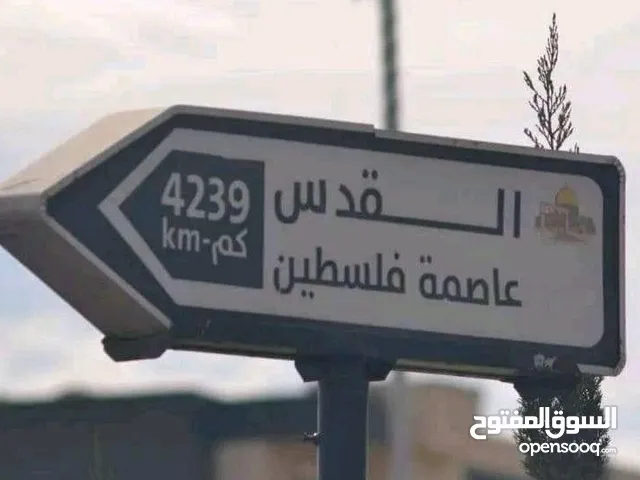 Oudeh Ibrahim