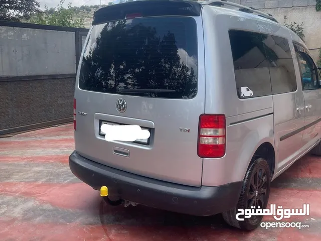 كادي 2013 Y