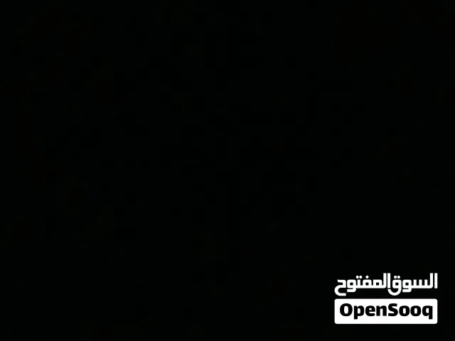 Zain VIP mobile numbers in Amman