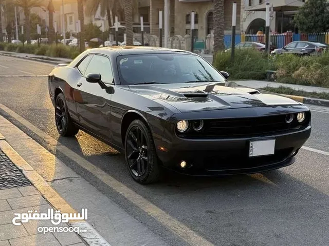 جالنجر 2023 للبيع