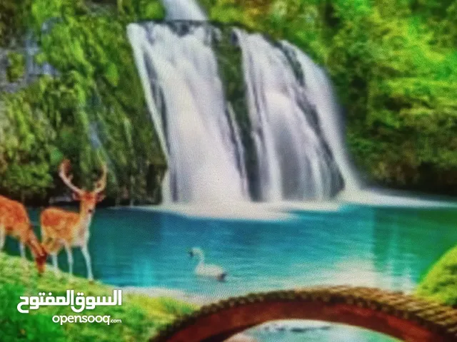 للبيع 4 باصات أبيض كبار 36 راكب موديل2024 شبه جديدة ممتازة نظيفة مافيها مشاكل،مكينة جير شاسي ممتاز