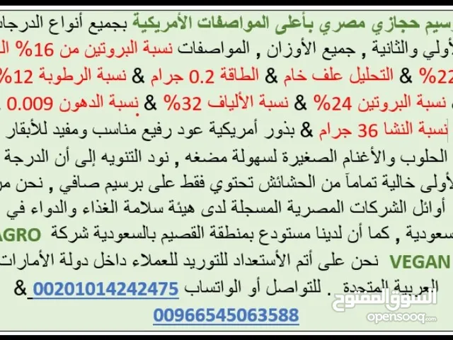 برسيم حجازى درجة أولى. تعاقد مباشر