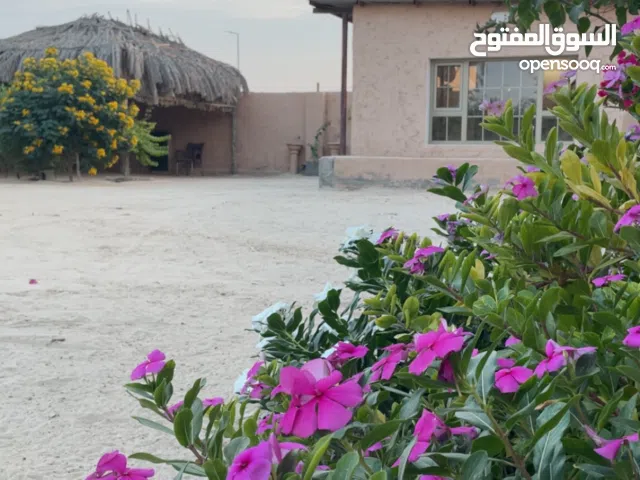 مزرعة راحة المكشات