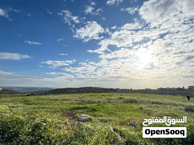 نمره بموقع مميز للبيع سكن أ حوض ابو الغزلان