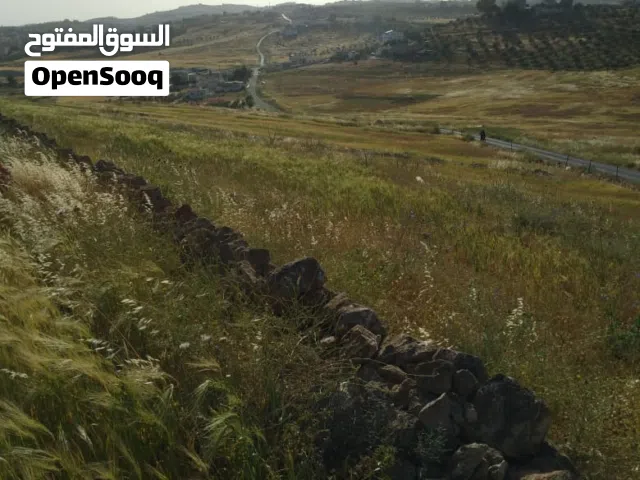 Mixed Use Land for Sale in Mafraq Rhab