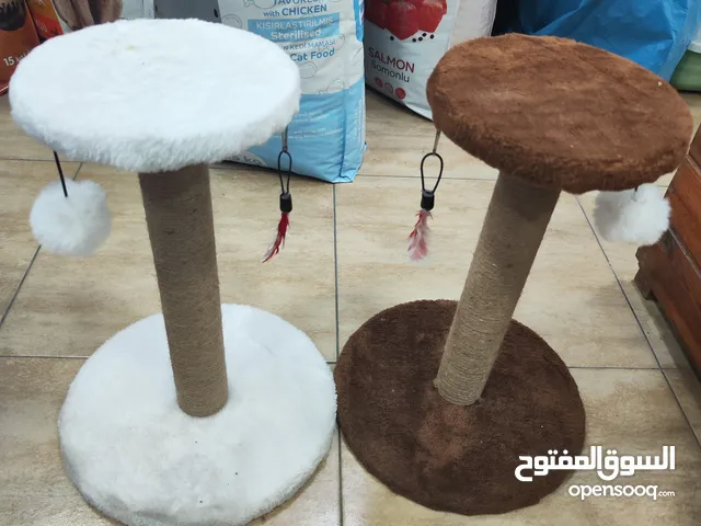 خداشة سيد عامووووووود لحماية اثاثك من الخراب و بسعر ولا بالاحلام