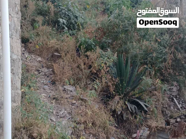 ارضيه للبيع او الاستثمار في محافظة إب .شلال المشنه .حارة المعقبه العليا تحت منتزة المعقبه .