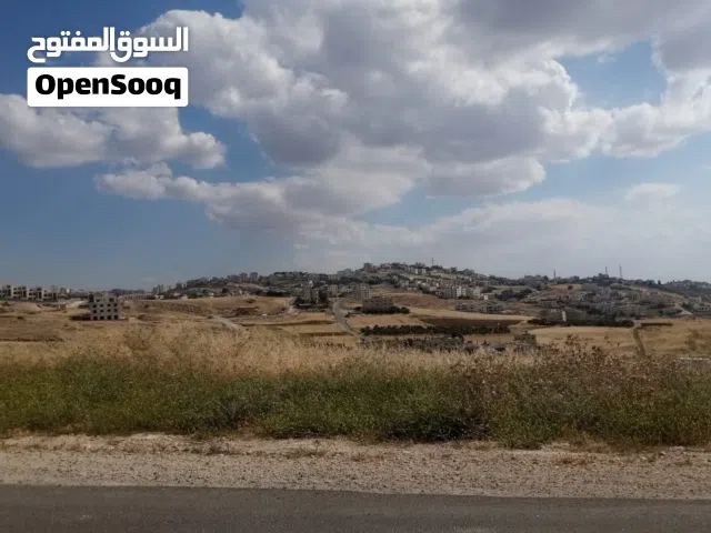 قطعة أرض للبيع الدمينة دونم على شارعين بسعر مميز أطلالة خلابة