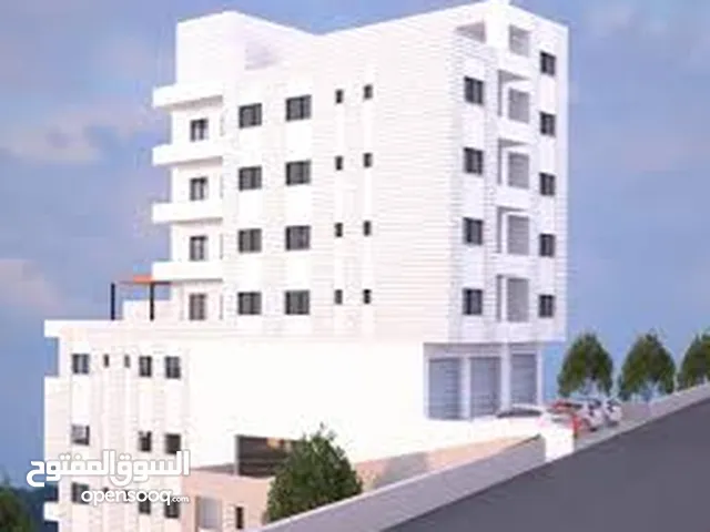 ايوب سلامة
