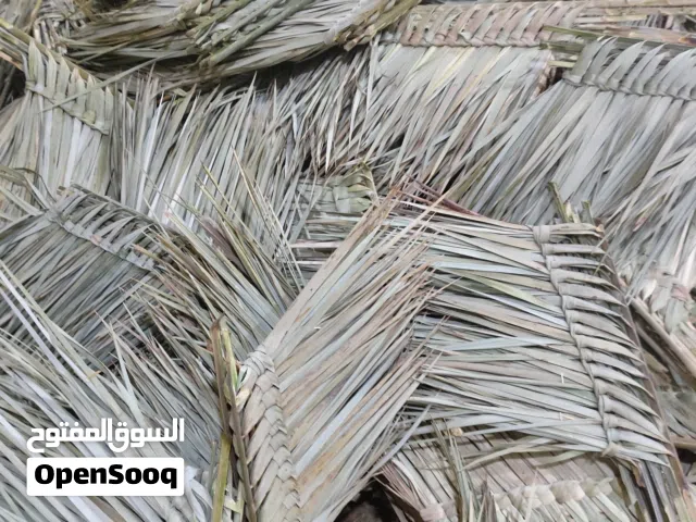 مكانيس الوحده بخمسميه خوص