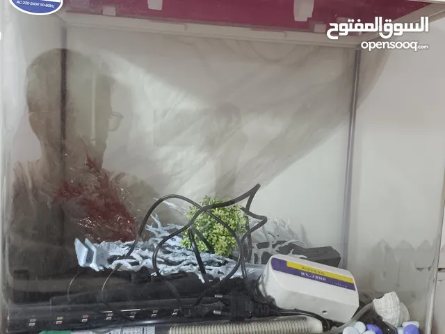 حوض سمك كامري