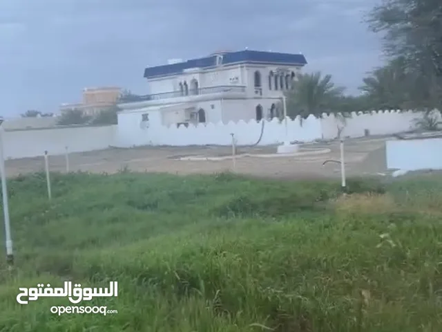 Farm Land for Sale in Al Dhahirah Ibri
