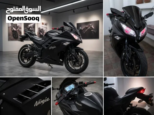 2025 كاواساكي Ninja 650