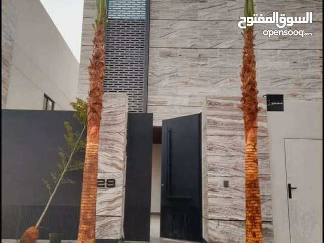نخل واشنطني زينه امريكي نحيف ممتاز
