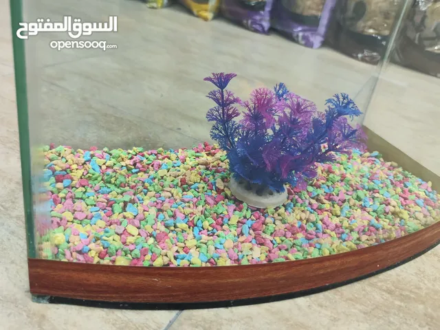 حوض سمك مجهز بالكامل و بأحدث التقنيات الحديثة ، فقط اضف الماء و السمكات ، هونا عليك بخبرتنا
