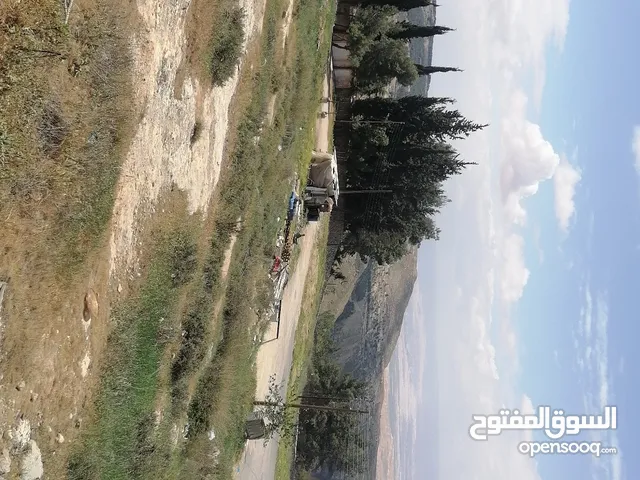 Residential Land for Sale in Amman Naour