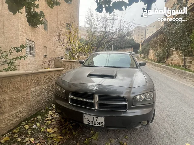 Dodge Charger Standard in Amman