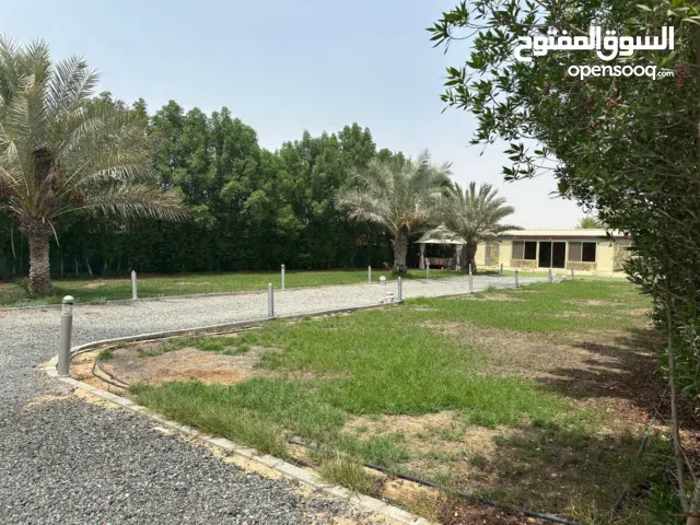 مزرعة بالعجبان أبوظبي للإيجار 24000