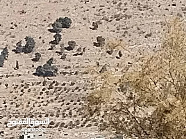 Farm Land for Sale in Salt Al Balqa'