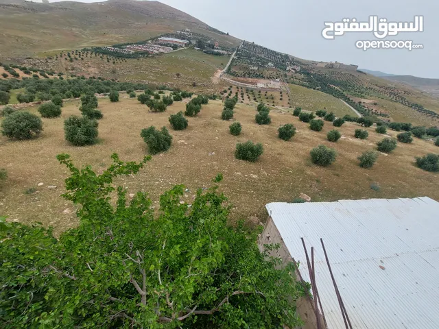 Mixed Use Land for Sale in Zarqa Sarout