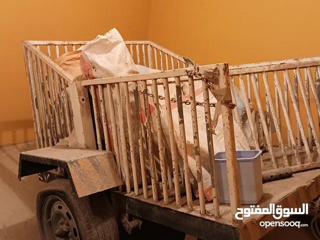 قالوصة للبيع بسعر 1200 قابل للتفاوض درهم يباله رش وتواير و أموره طيبه