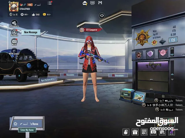 Pubg Accounts and Characters for Sale in Irbid