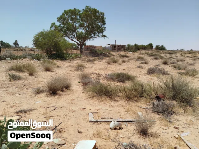 Farm Land for Sale in Sirte Other