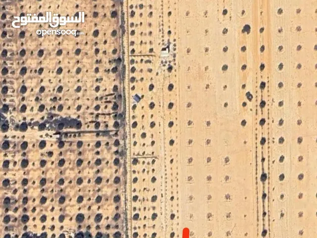 Mixed Use Land for Sale in Gafsa Other