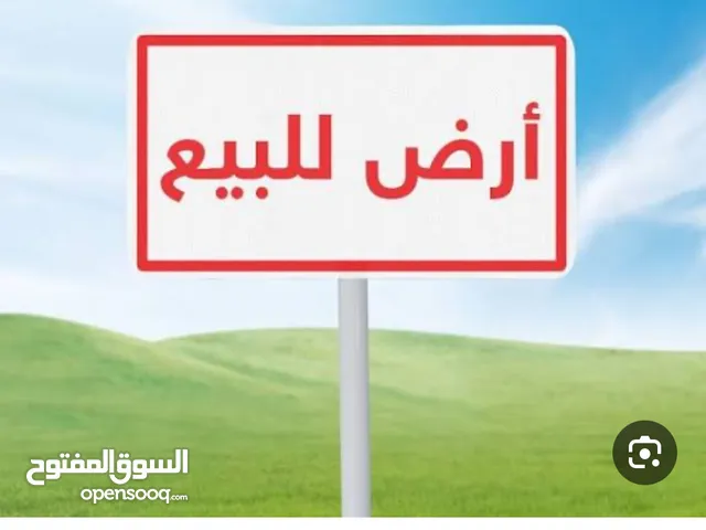 معتصم زغير