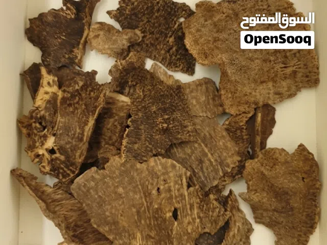 هاينان طبيعي جار