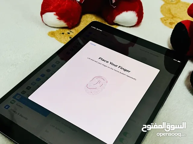 iPad Pro10.5 (64gb)