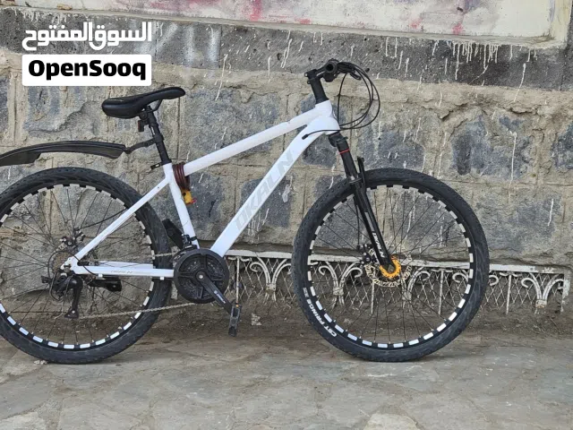 2021 BMW C 400 X