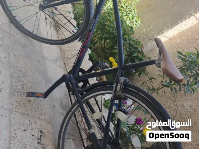 باسكل للبيع