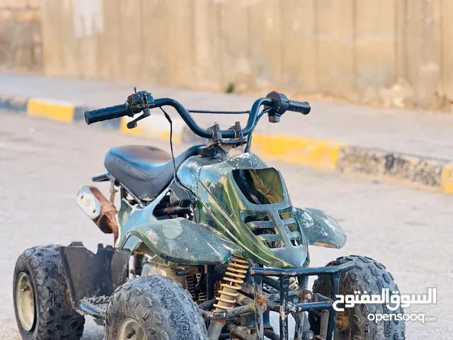 رابتر 110cc