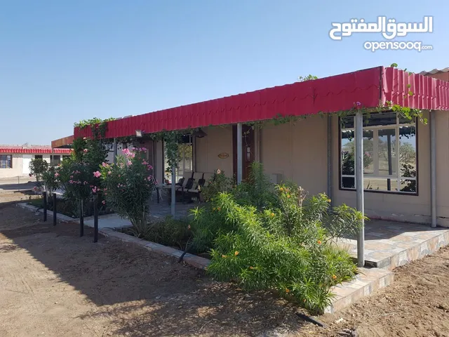 Farm Land for Sale in Al Sharqiya Al Mudaibi