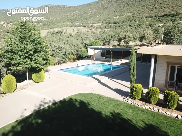مزرعة جودي