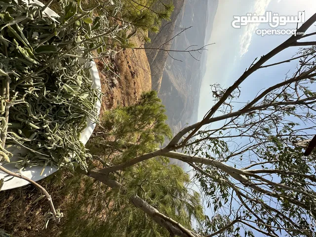 ارض مميزة 3ونص دونم للبيع من المالك مباشرة