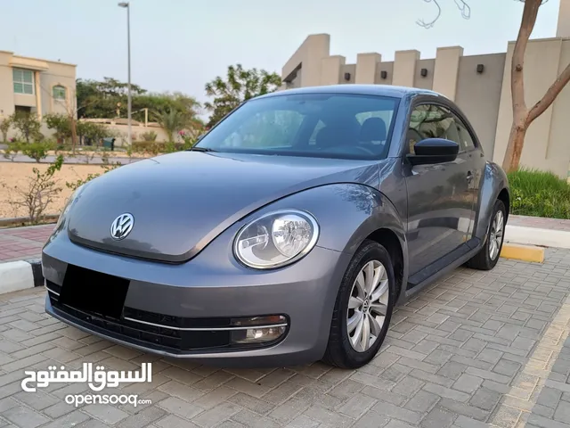 VOLKSWAGON BEETLE,1600 CC, US SPECS, 2014 FRESH IMPORT