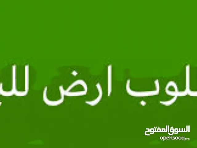 مطلوب ارض 500 متر في شفا بدران - المقرن - الموحدين للشراء الفوري.