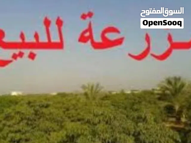 Farm Land for Sale in Al Khums Other