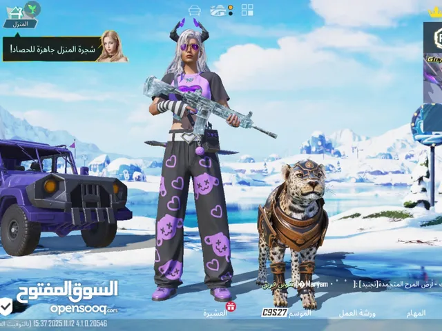 Pubg Accounts and Characters for Sale in Basra